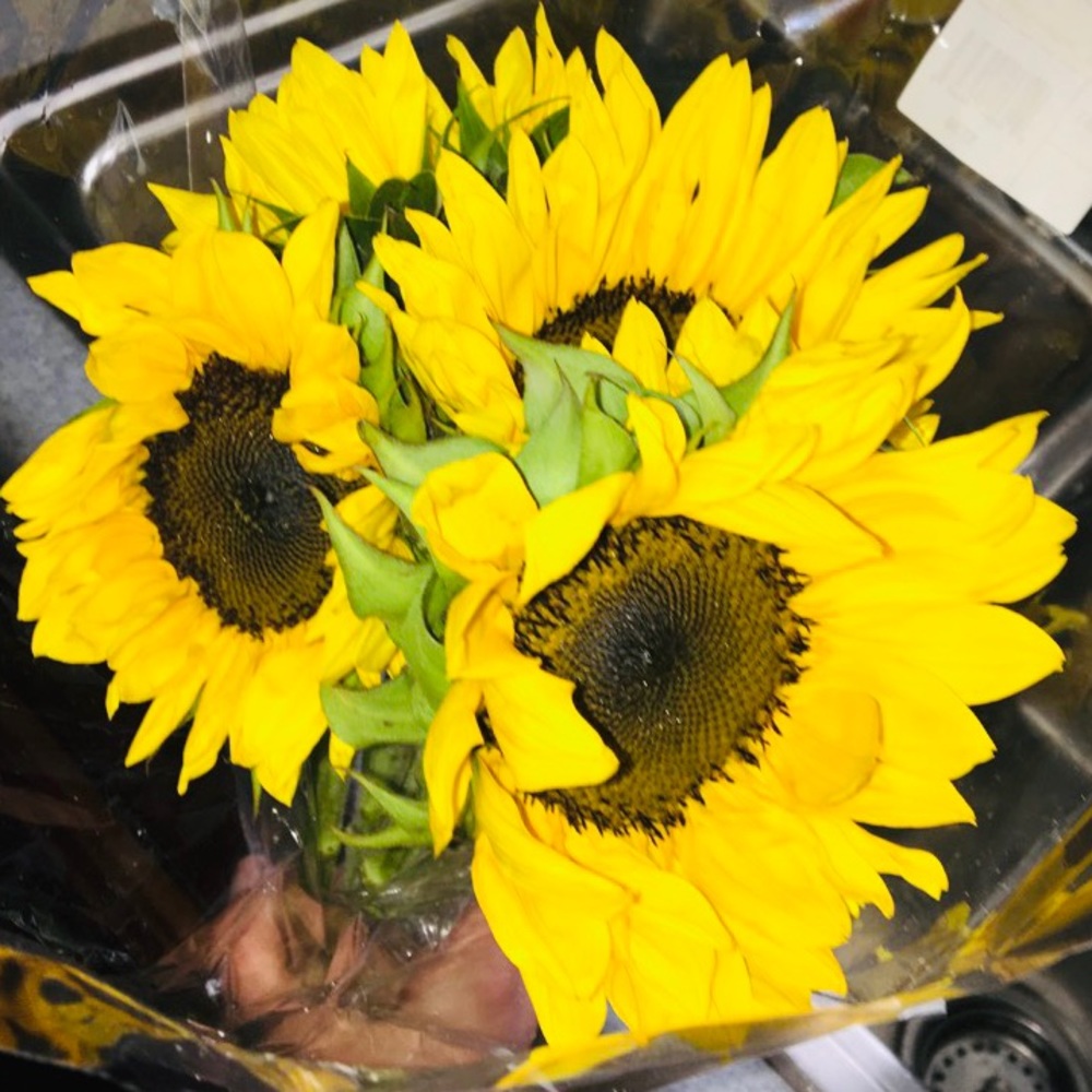 Meet your Posher, Alexis